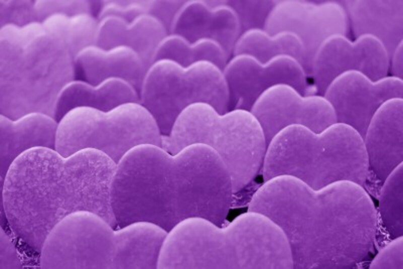 好きな色で診断！恋愛の傾向と対策：紫が好きな人
