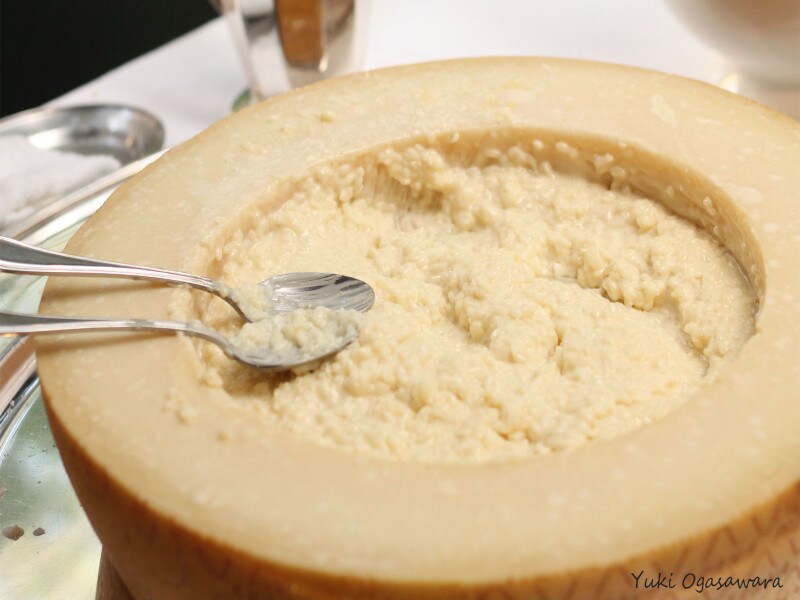 グラナ・パダーノ,チーズ,イタリアチーズ,リゾット