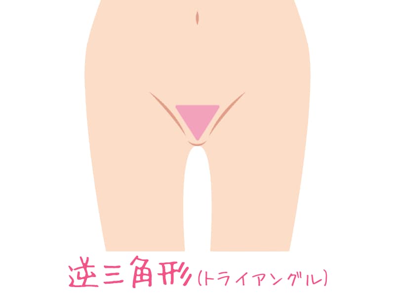 下着や水着におさまりやすいアンダーヘアの形で、ファッション性もグッドです