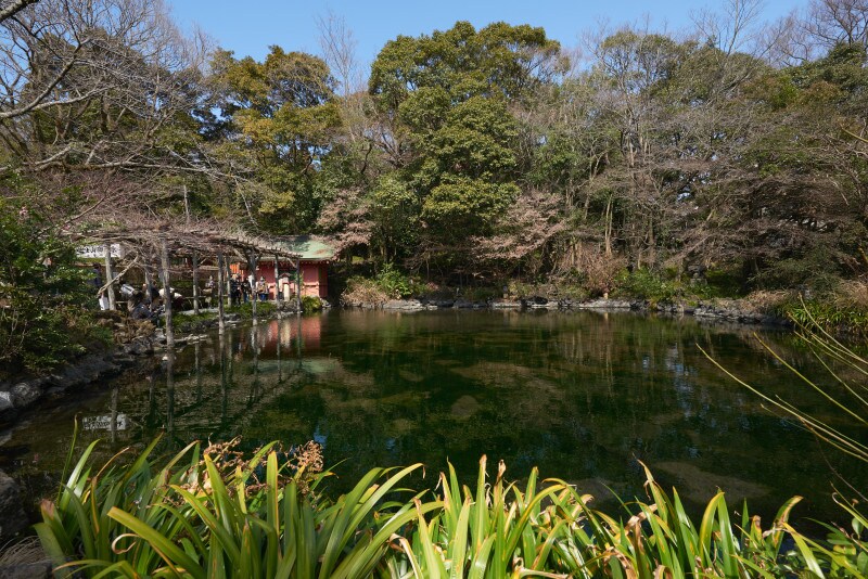 湧玉池