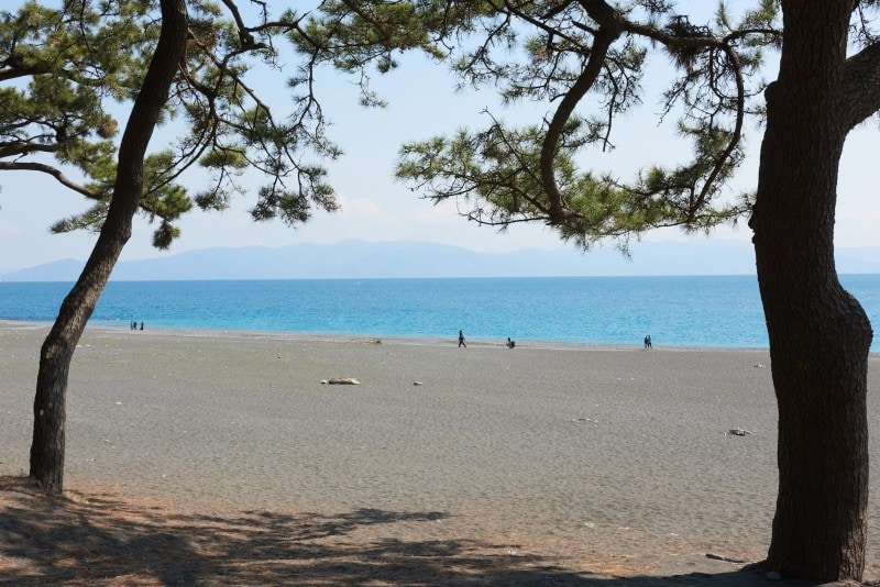 松林越しに見る三保海岸