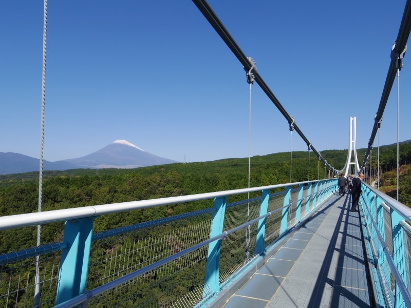 橋の上から望む富士山