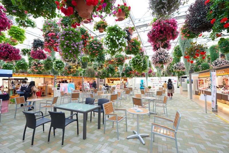 スカイガーデン