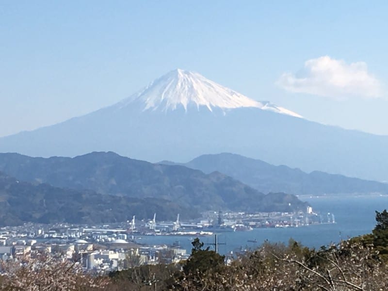 展望回廊からの富士山