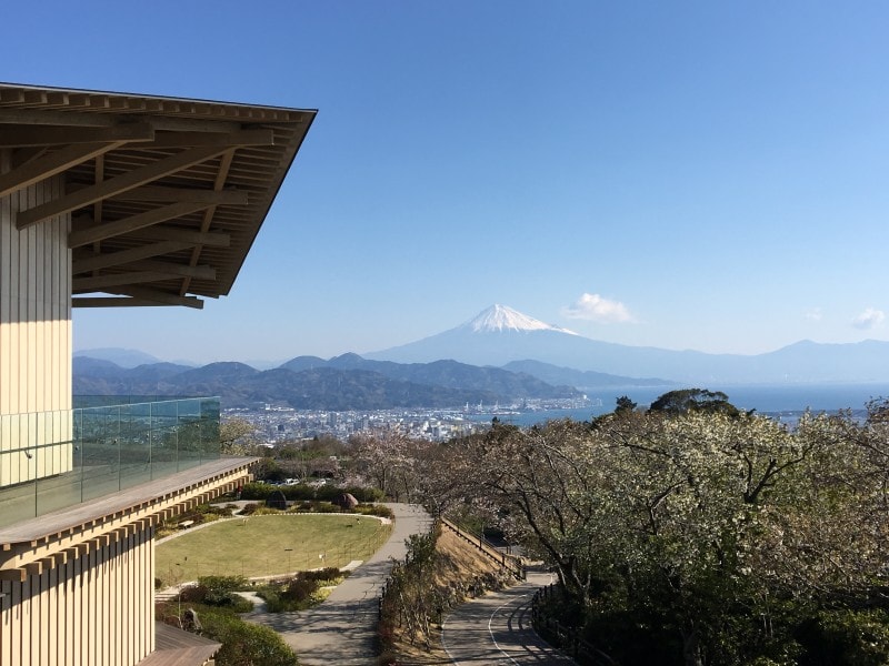 展望回廊から建物越しに見えた富士山