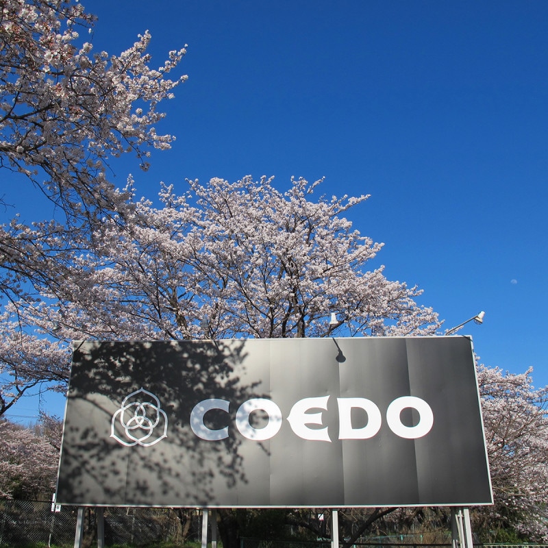 COEDO醸造所