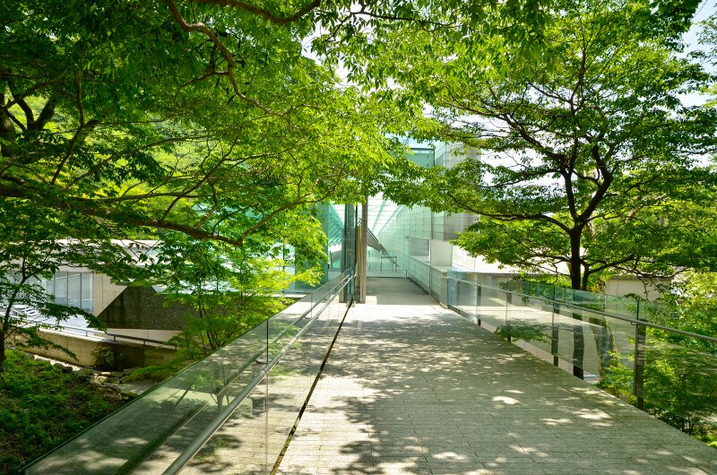 新緑の季節の「ポーラ美術館」。周囲の景観に配慮し、地上2階、地下3階建てになっている。設計:安田幸一。2002年開館