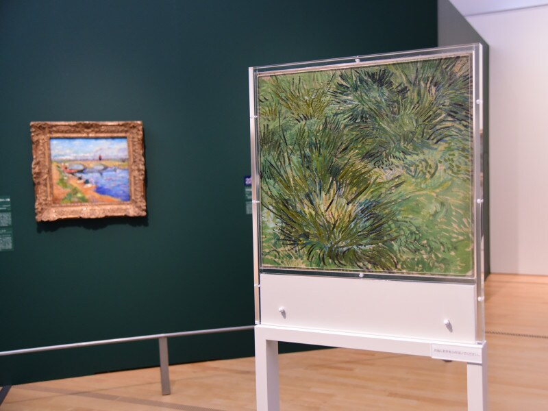 ゴッホの『草むら』表面