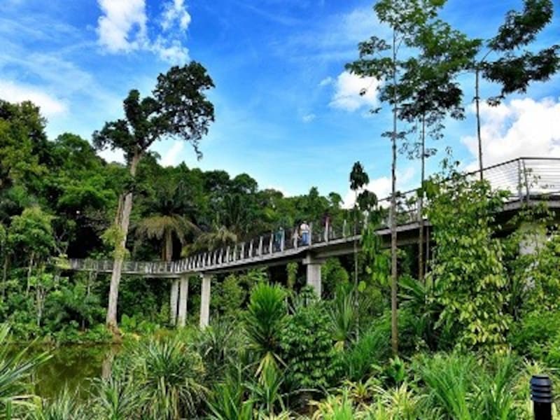 シンガポール初の世界遺産 シンガポール植物園 シンガポール All About