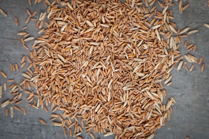 long root grain