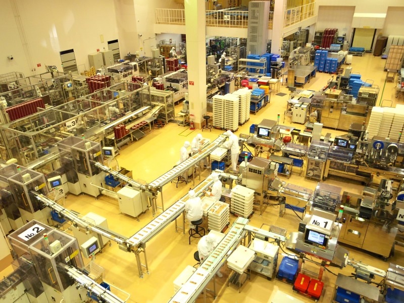 うなぎパイの製造ラインを見学