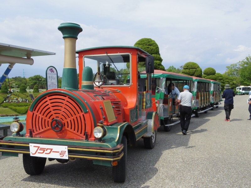 フラワートレイン