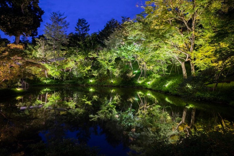 ライトアップされる高台寺庭園