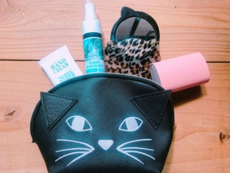 ポーチに入れて携帯し、手軽にシュッとケアできる！