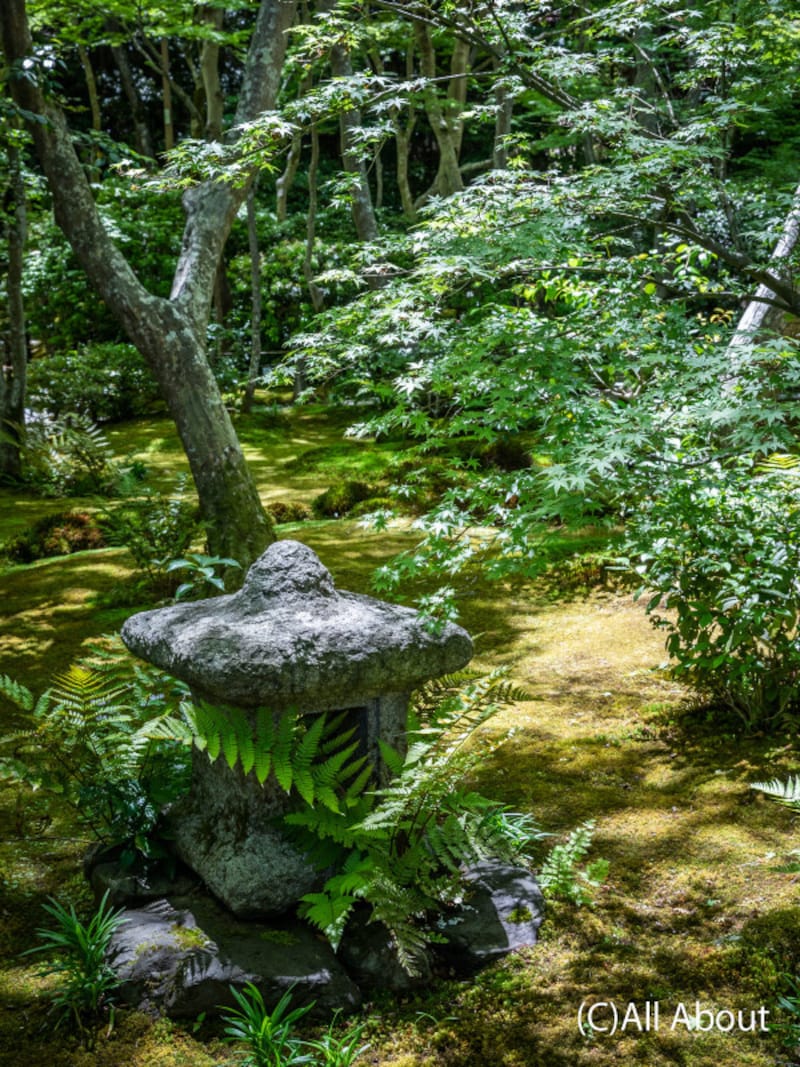 石燈籠