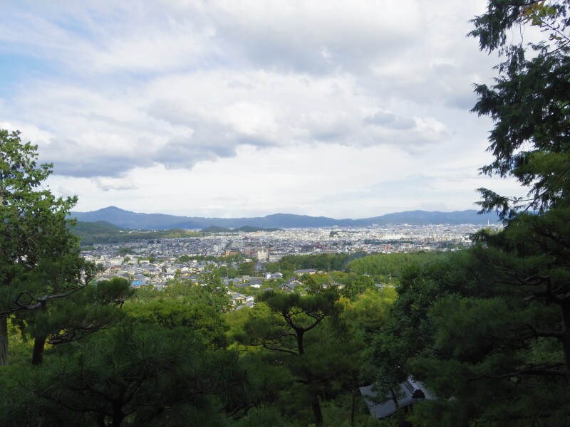 展望台からの眺め