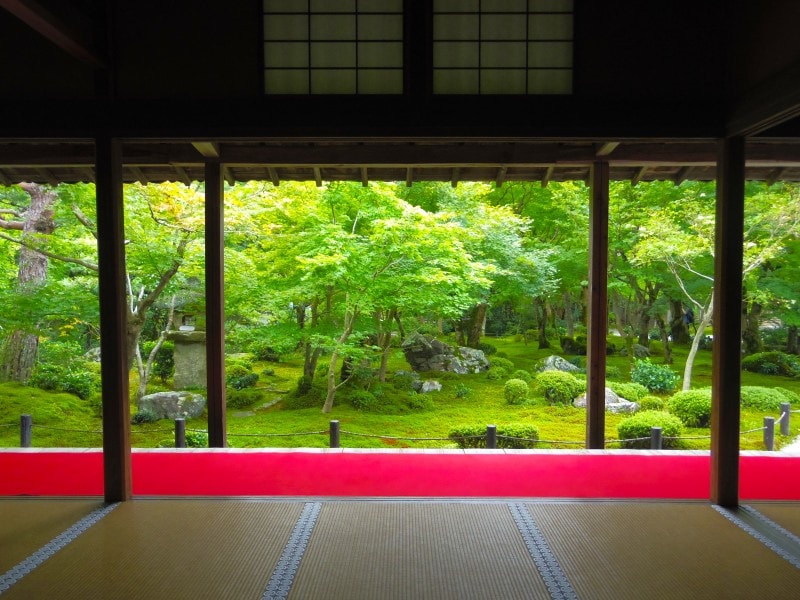 京都のお寺巡り1. 圓光寺額縁庭園