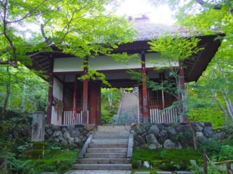 京都のお寺巡り4.常寂光寺 茅葺きの仁王門