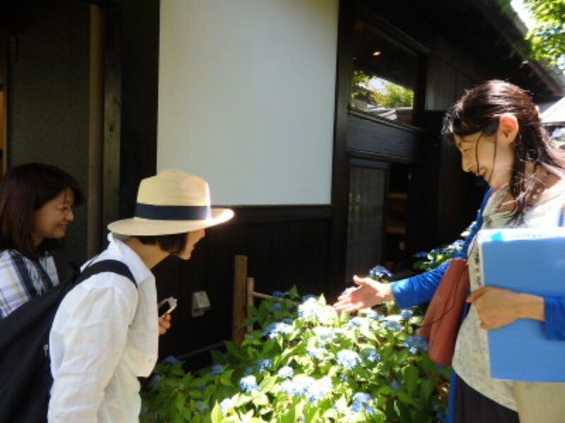 鎌倉花歩きの様子