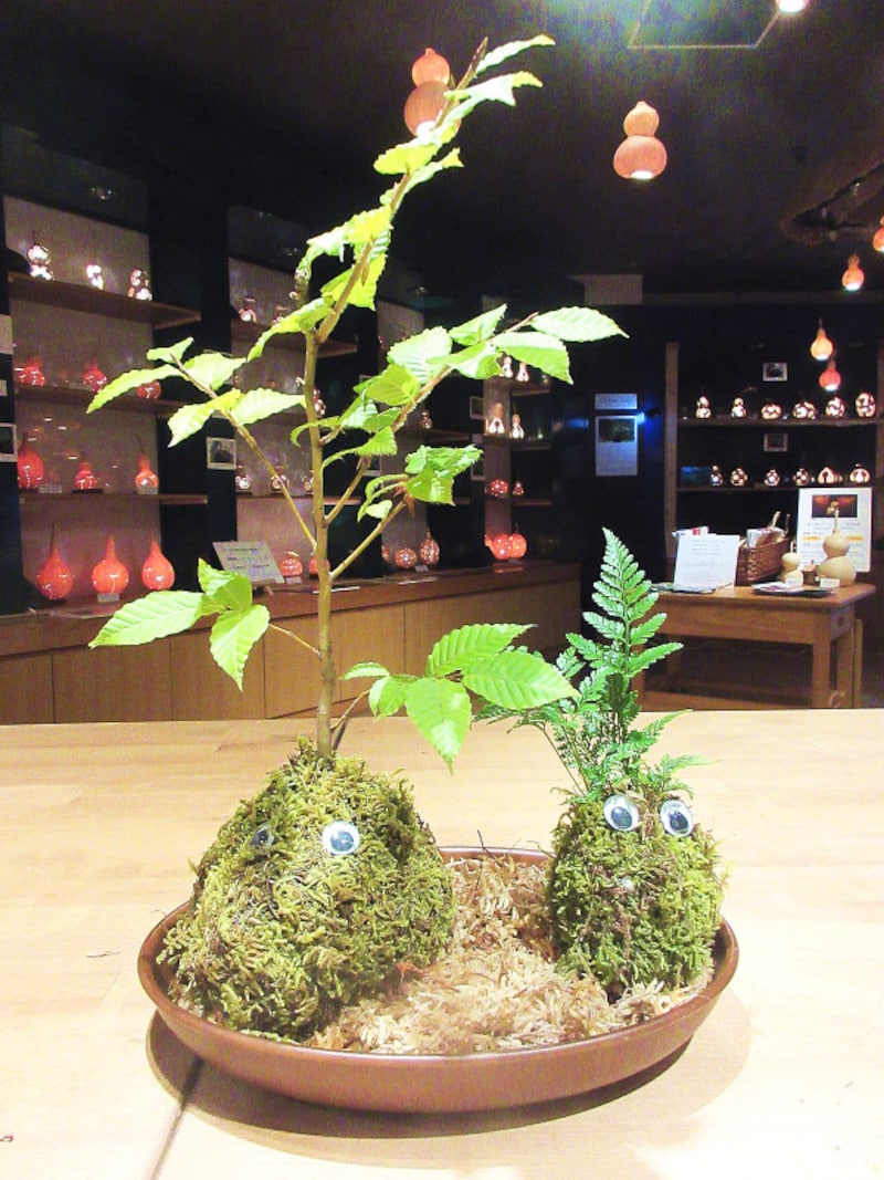 星野リゾート 奥入瀬渓流ホテル こけ玉作り体験