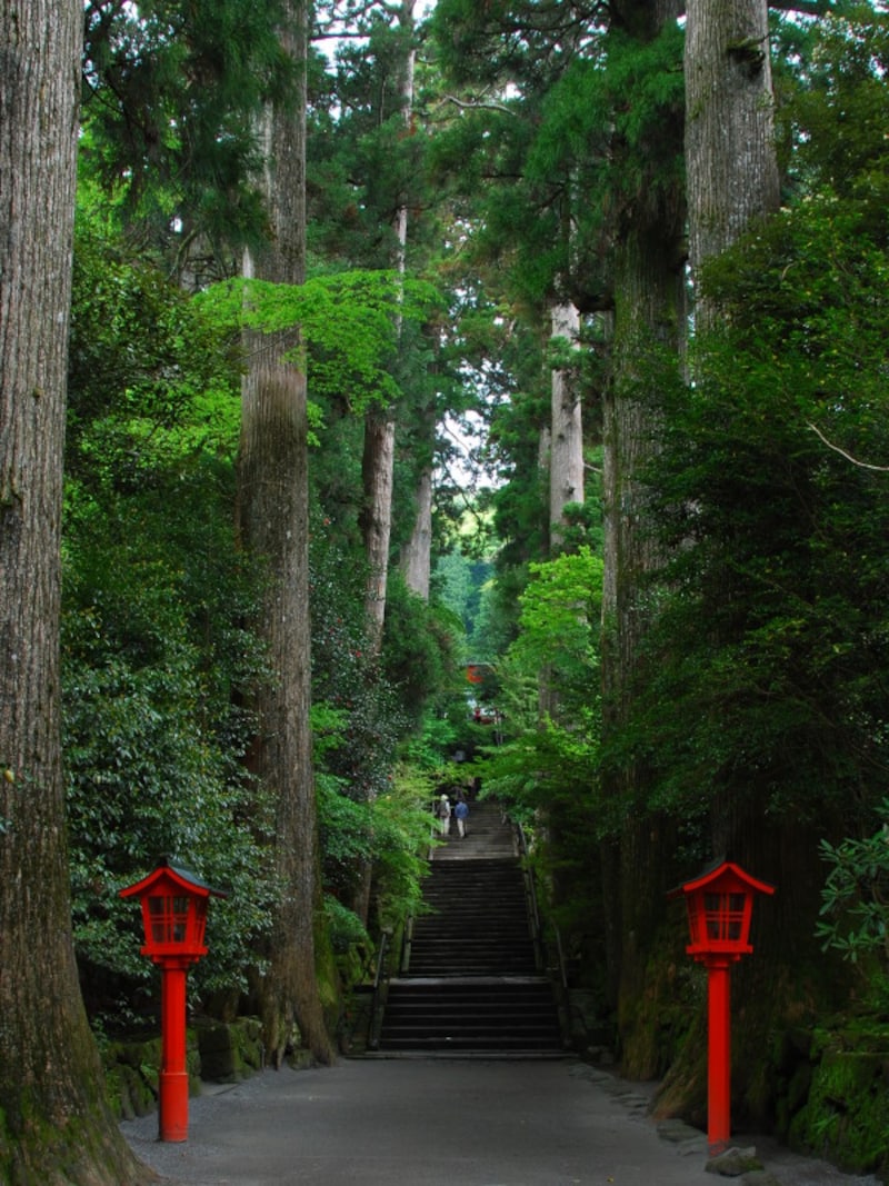 箱根ひとり旅の観光スポット:箱根神社の参道