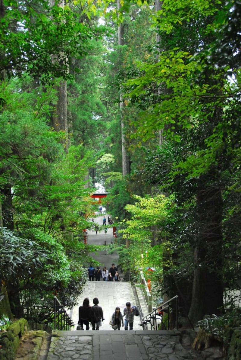 箱根ひとり旅の観光スポット:箱根神社の正参道