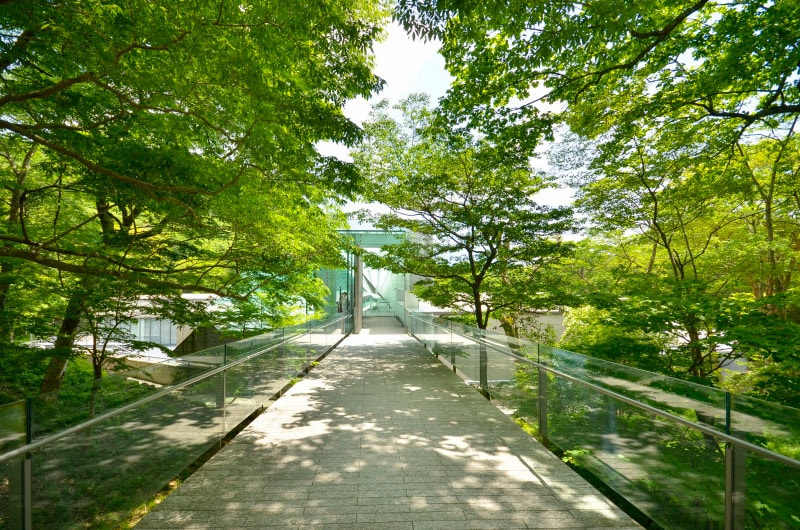 箱根ひとり旅の観光スポット:エントランス