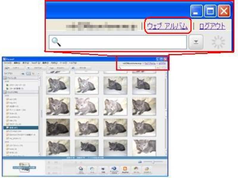 ウェブ アルバムへのリンク