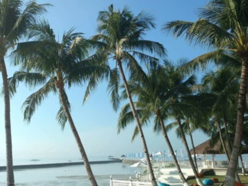 「旅行で行ったセブ島の写真です。ホテル前のビーチ。ちょうど干潮でした」(柔ママさん)