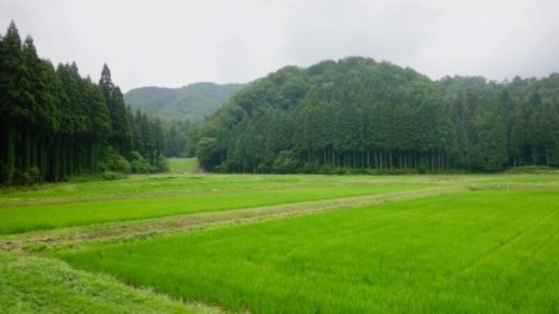 農口尚彦研究所からの眺め