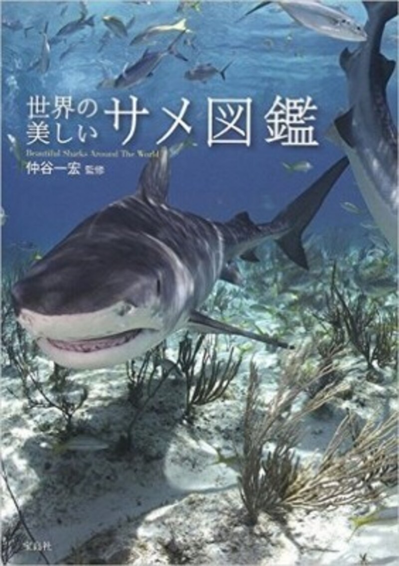 『世界の美しいサメ図鑑』