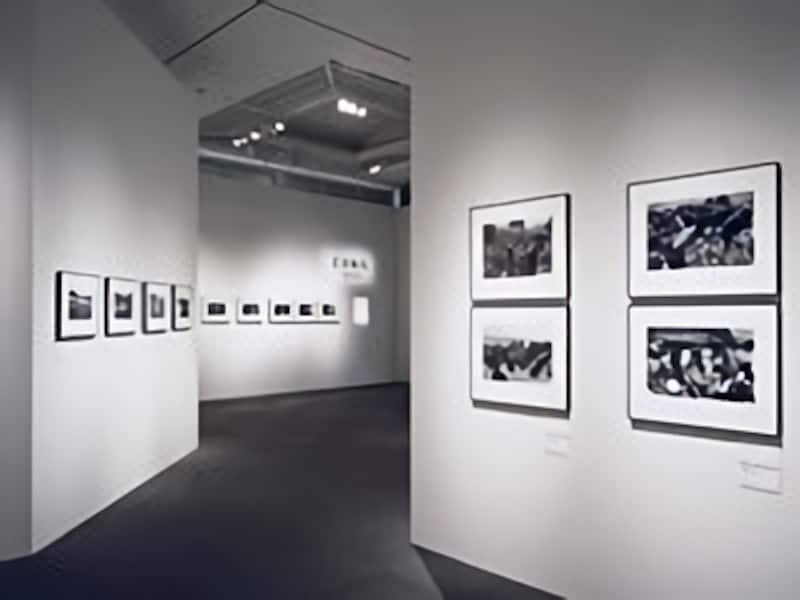 年間を通じて意欲的な展覧会が開催されている東京都写真美術館(出典:写真美術館ベスト)
