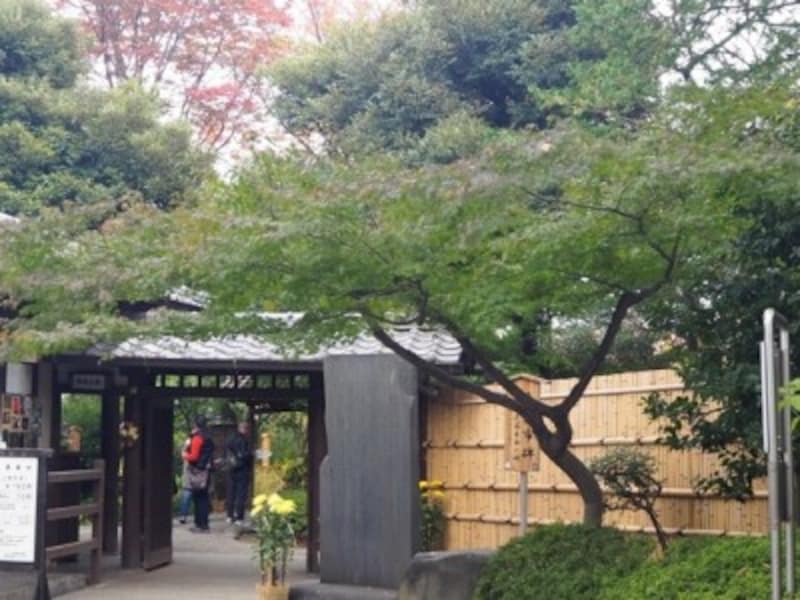 江戸時代からある向島百花園
