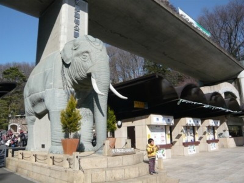 都内とは思えないほど広い、多摩動物公園