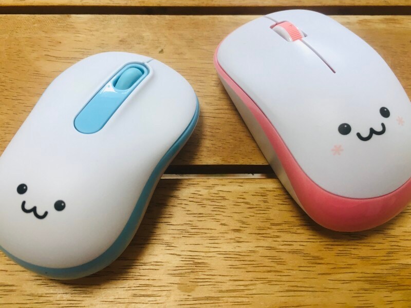 ピンクとブルーの夫婦マウス