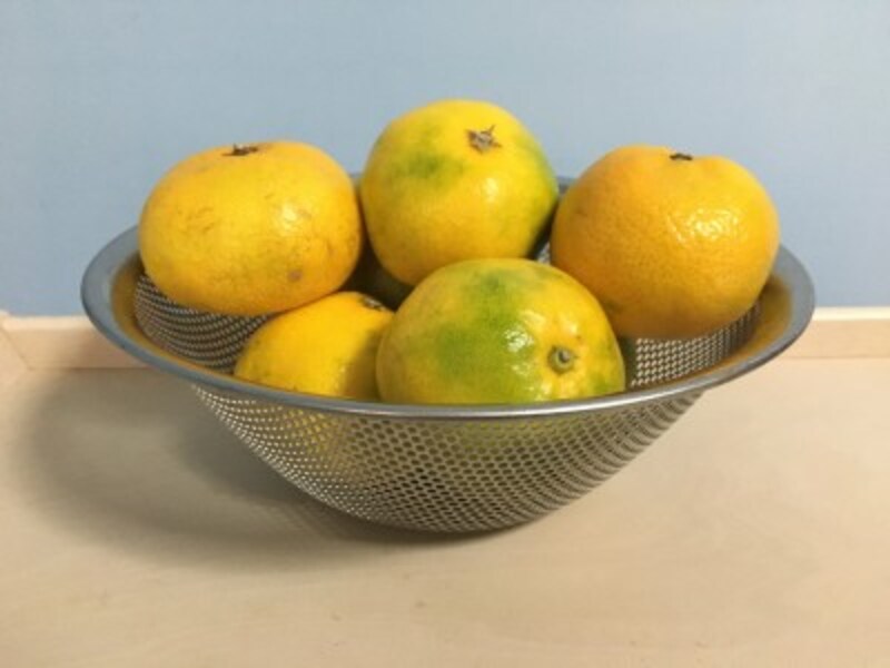 みかん。柳宗理のざる