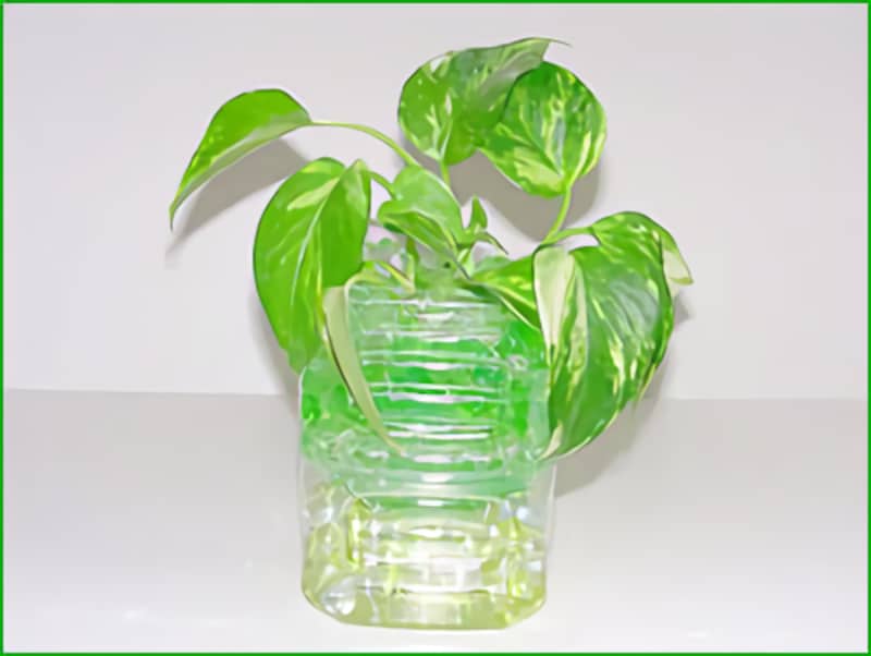 ペットボトルで工作！インテリアポッド