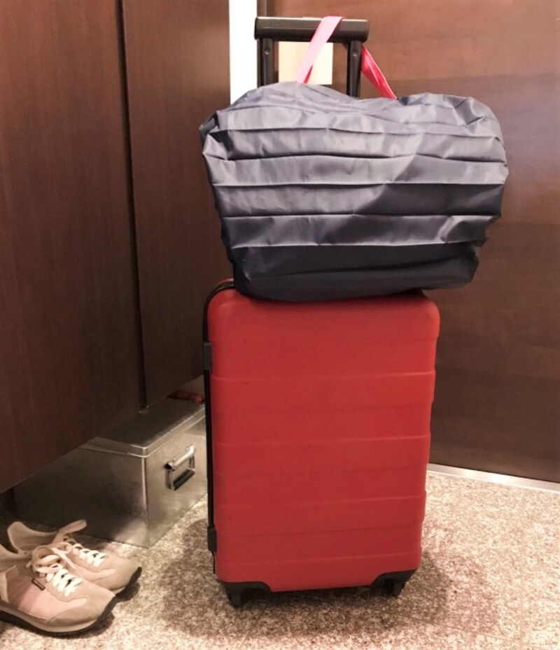 マーナのエコバッグ