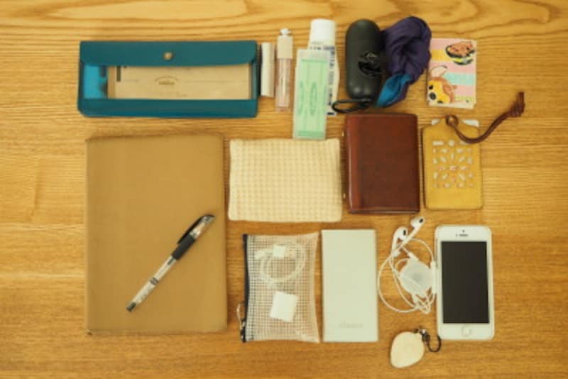 バッグインバッグ,中身