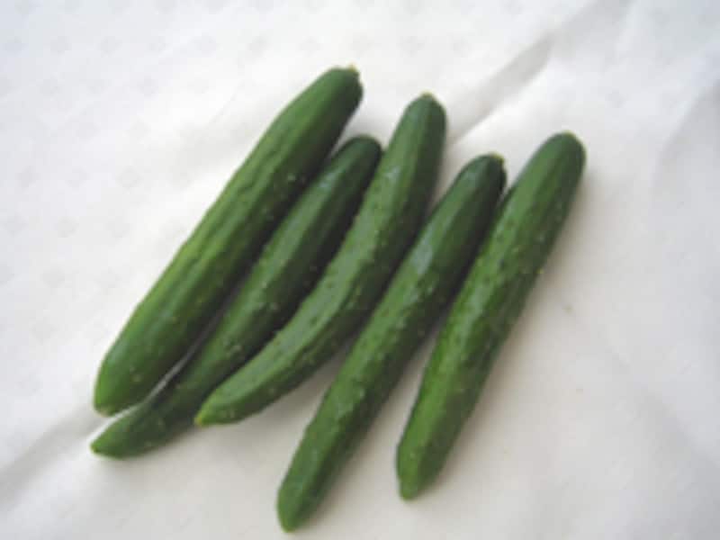 ミニきゅうり