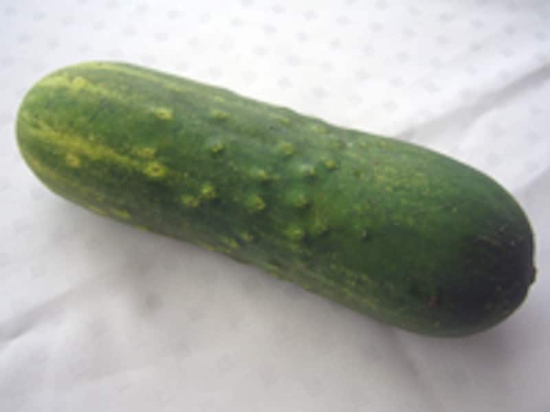 加賀太きゅうり