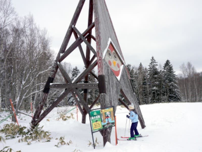 トマムスキー場