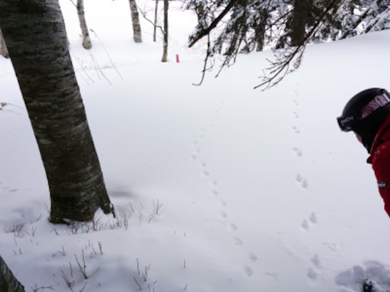 雪上バギーツアー