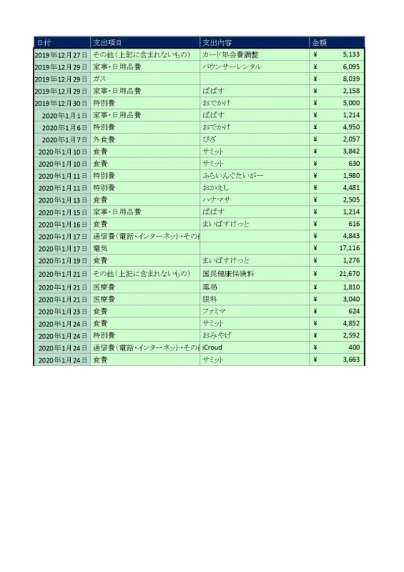 ふこままさんの1月家計簿