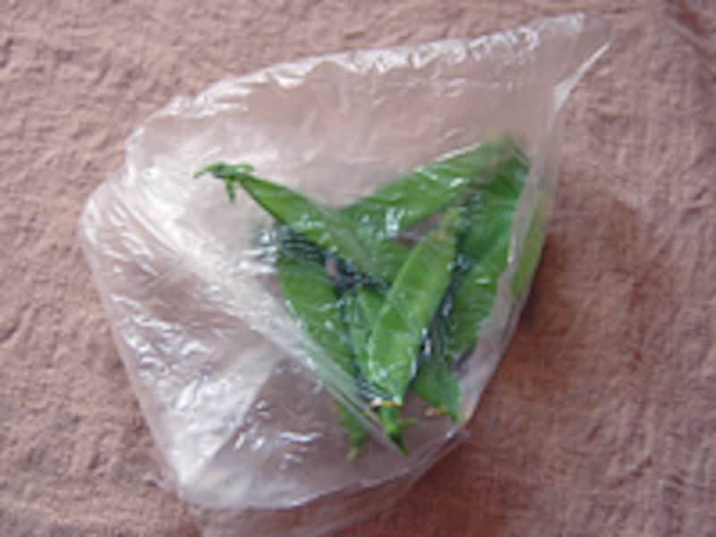 さやえんどうの保存
