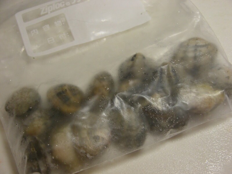 貝類の冷凍保存方法