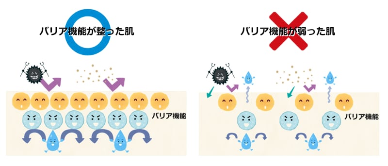 美しい手肌のためにはバリア機能が重要