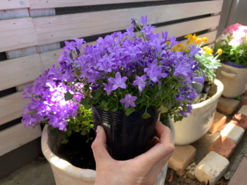 ベランダの片づけ