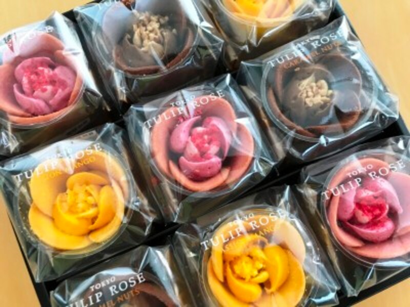 TOKYOチューリップローズ