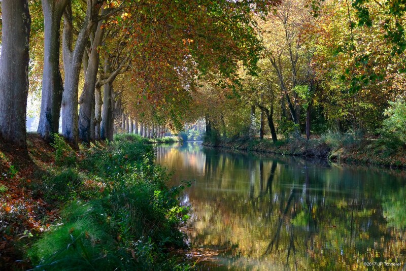旅するフランス語